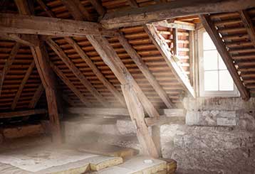 Attic Cleaning | Attic Cleaning Sherman Oaks, CA