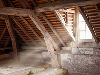 Attic Cleaning Services | Attic Cleaning Sherman Oaks, CA