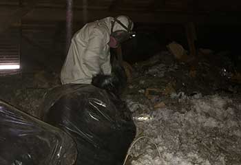 Attic Insulation Removal Project | Attic Cleaning Sherman Oaks, CA